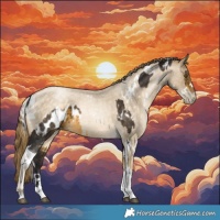 Horse Color:White Spotted Silver Buckskin Tobiano Appaloosa  and White Spotted Buckskin Roan Snowdrop Rabicano 
