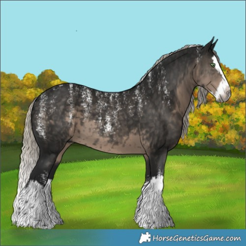Horse Color:Powder White Gray Silver Smoky Black Splash