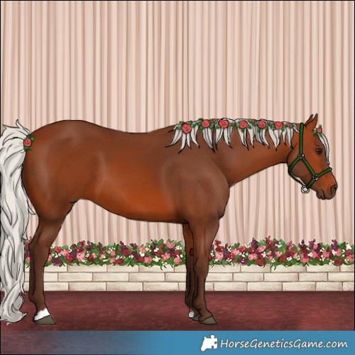 Horse Color:Silver Bay 