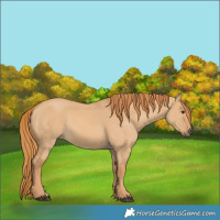Horse Color:Red Dun