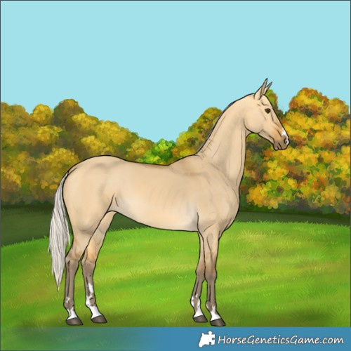 Horse Color:Silver Buckskin Dun 