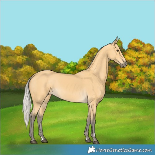 Horse Color:Silver Buckskin