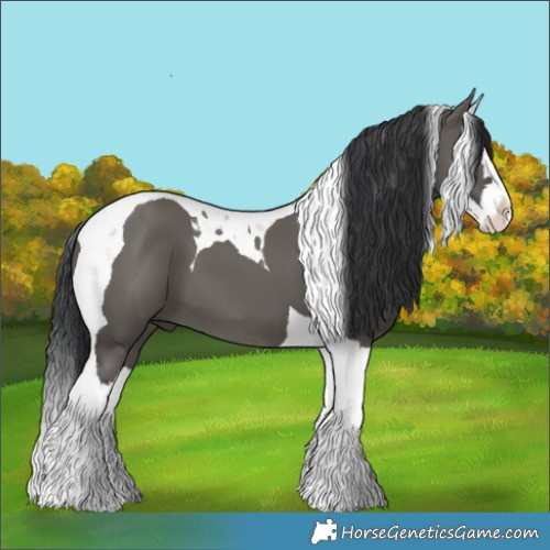 Horse Color:Grullo Splash Tobiano 