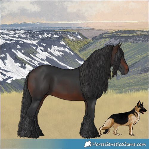 Horse Color:Brown 
