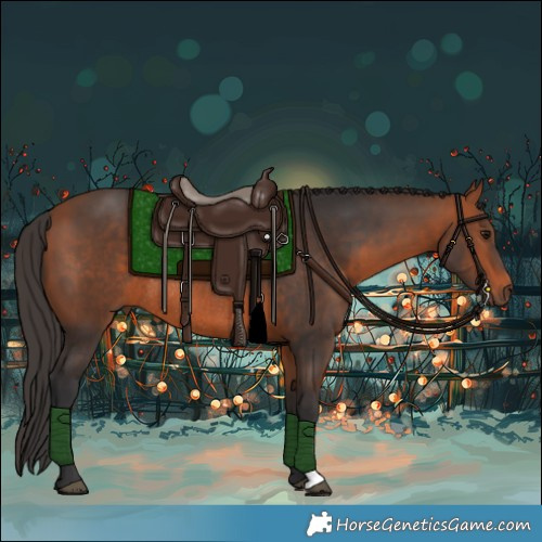 Horse Color:Bay Rabicano 