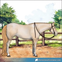 Horse Color:Smoky Black Pearl Tobiano