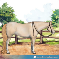 Horse Color:Smoky Black Pearl Tobiano