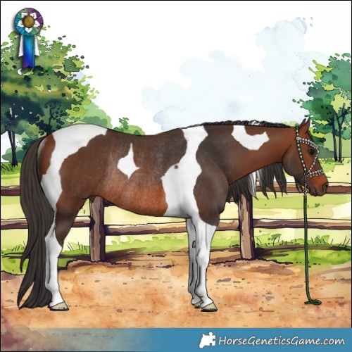 Horse Color:Bay Tobiano Rabicano 