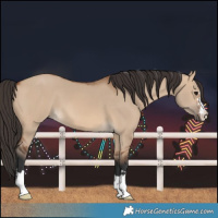 Horse Color:Bay Dun