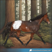 Horse Color:Bay Snowcap 
