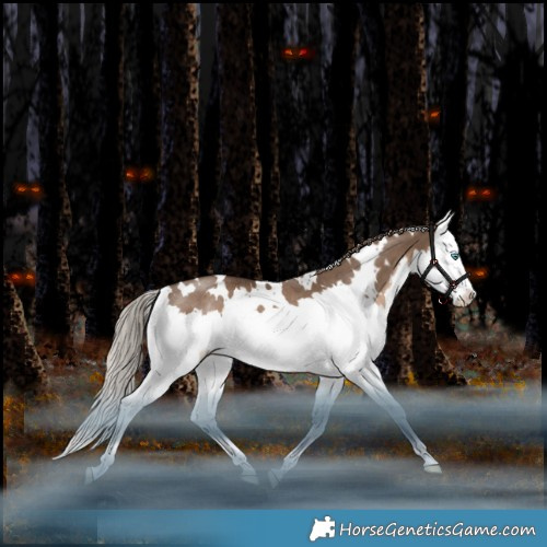 Horse Color:White Spotted Liver Red Dun Splash Rabicano