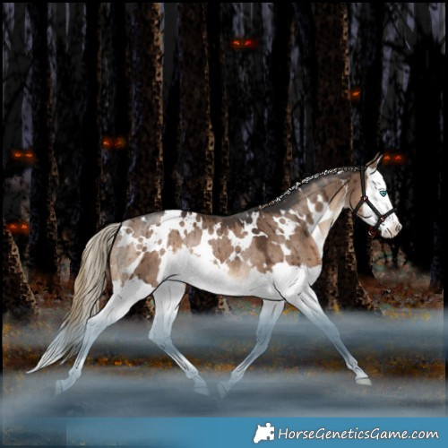 Horse Color:White Spotted Liver Red Dun Splash Rabicano Brindle 