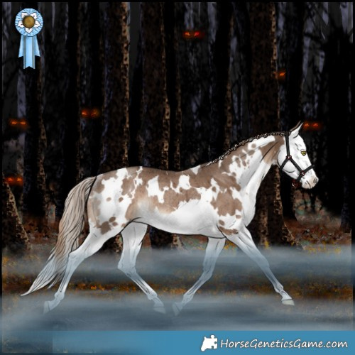 Horse Color:White Spotted Liver Red Dun Splash Rabicano Brindle