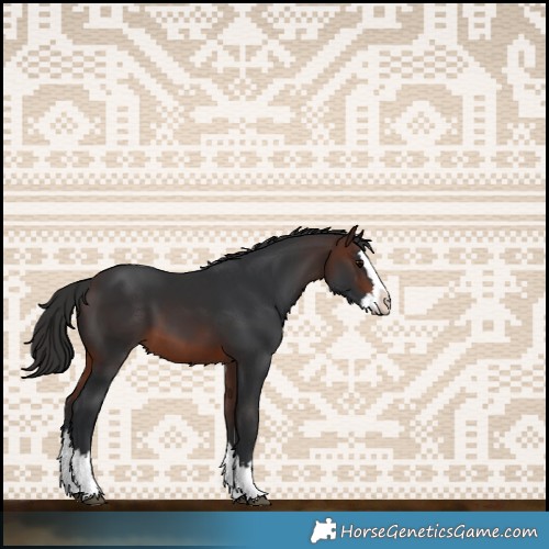 Horse Color:Brown Splash 