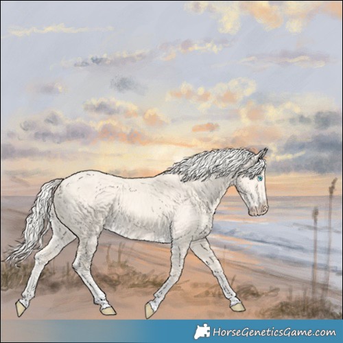 Horse Color:Cremello Dun Tobiano