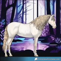 Horse Color:Buckskin Roan Pearl and Buckskin Roan Pearl