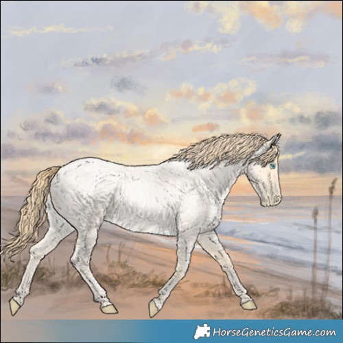 Horse Color:Buckskin Roan Pearl and Buckskin Roan Pearl