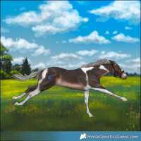 Horse Color:Silver Brown Tobiano