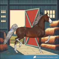 Horse Color:White Spotted Silver Brown