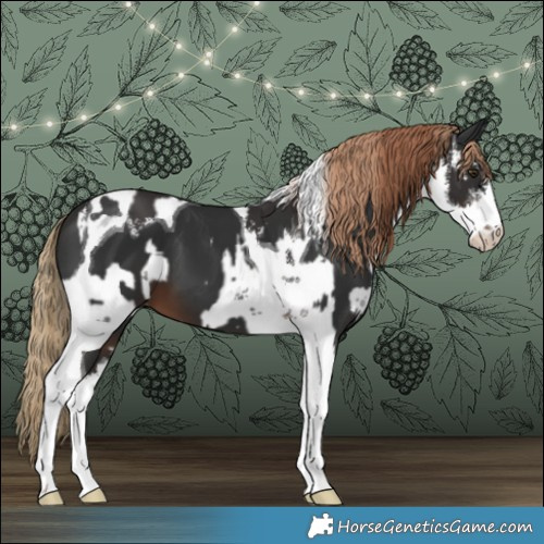 Horse Color:White Spotted Liver Chestnut  and White Spotted Liver Chestnut Tobiano 