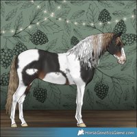 Horse Color:Liver Chestnut Tobiano Frame 