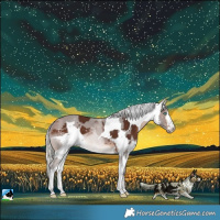 Horse Color:Silver Brown Merle 