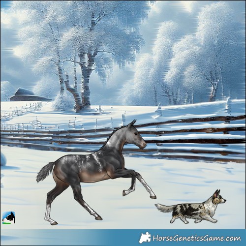 Horse Color:Powder White Brown 