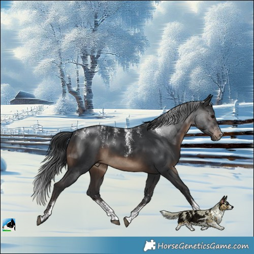 Horse Color:Powder White Brown