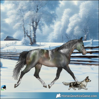 Horse Color:Powder White Brown