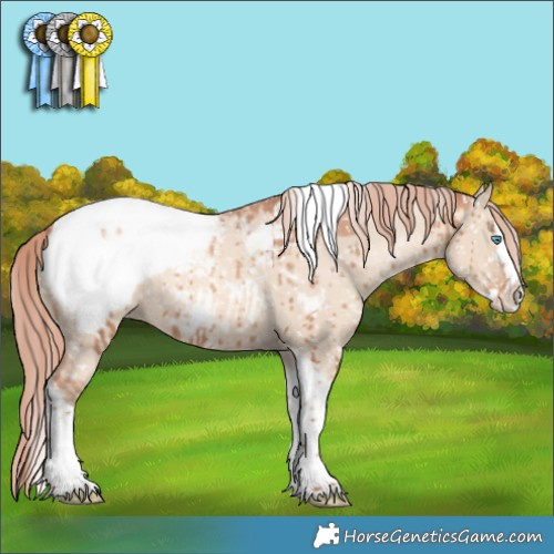 Horse Color:Gold Champagne Dun Sabino Splash Tobiano Appaloosa Rabicano Brindle
