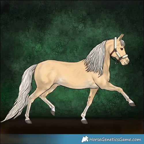 Horse Color:Palomino 