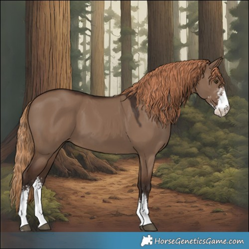 Horse Color:Liver Red Dun Sabino 