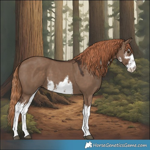 Horse Color:White Spotted Liver Red Dun 