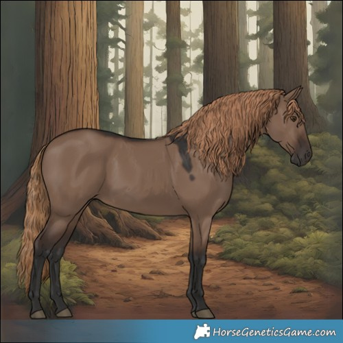 Horse Color:Liver Red Dun 