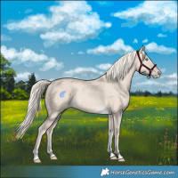 Horse Color:Cremello Dun Tobiano