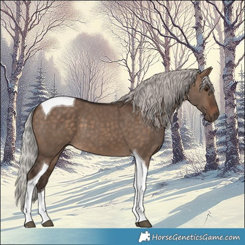 Horse Color:Silver Brown Dun Tobiano 