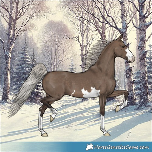 Horse Color:Silver Brown Dun 