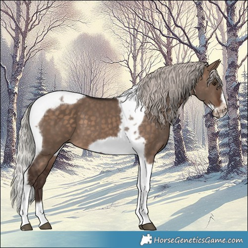 Horse Color:Silver Brown Dun Tobiano Frame 