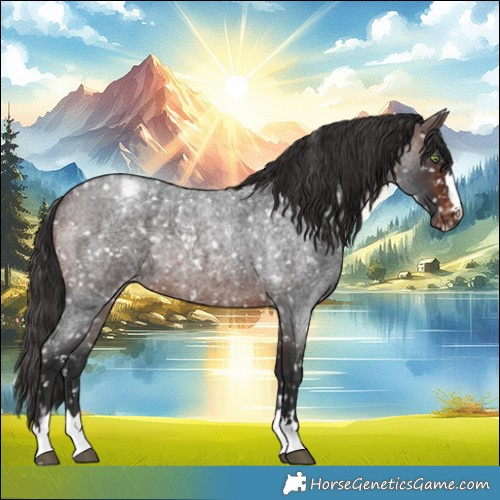 Horse Color:Brown Roan Snowflake Varnish