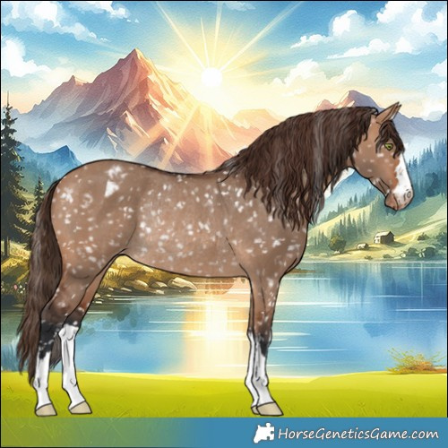 Horse Color:Bay Dun Blanket Rabicano 