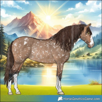 Horse Color:Bay Dun Blanket Rabicano