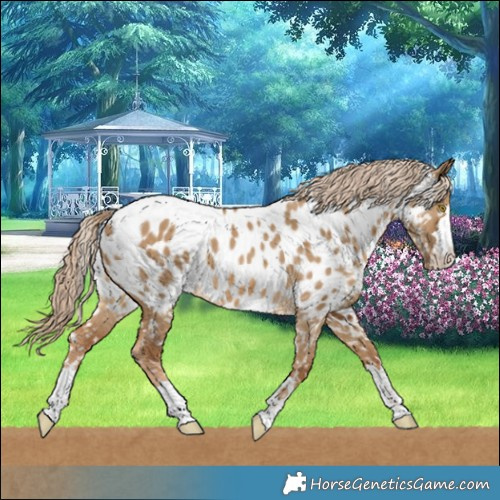 Horse Color:Chocolate Palomino Dun Near Leopard 