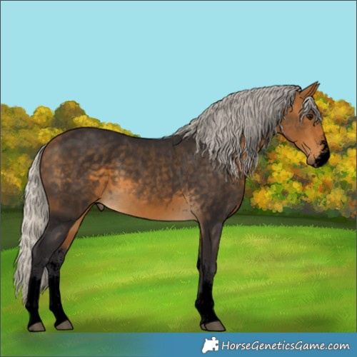 Horse Color:Void Silver Buckskin Sabino 