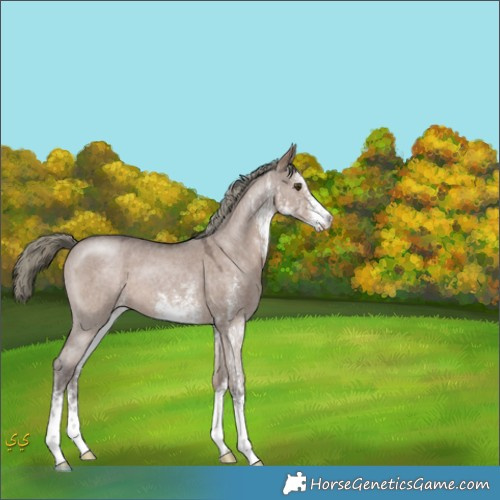 Horse Color:White Spotted Liver Red Dun Mushroom