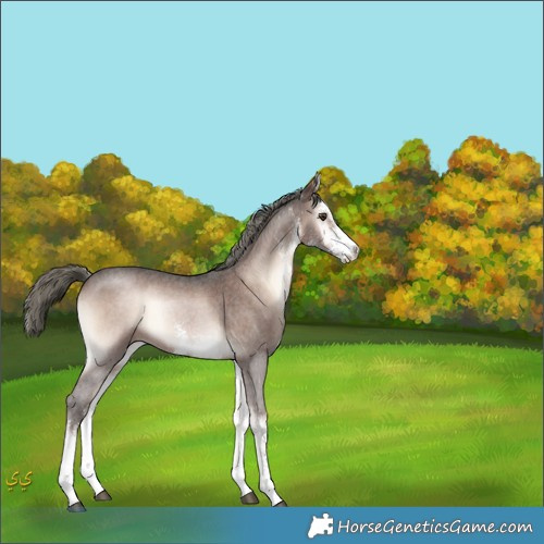 Horse Color:White Spotted Liver Red Onyx Mushroom 