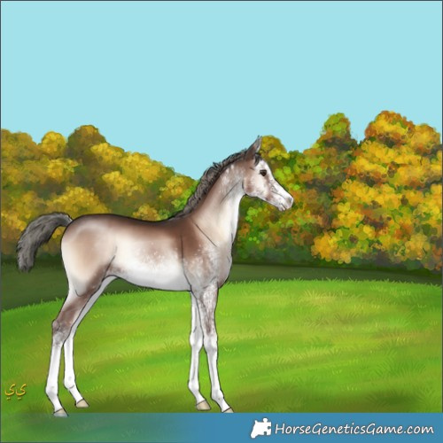 Horse Color:White Spotted Liver Red Onyx Mushroom 