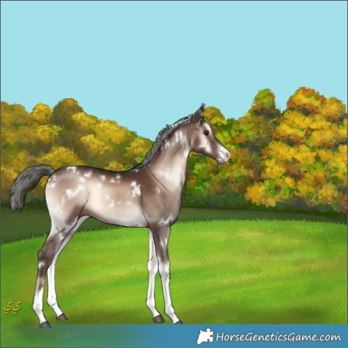 Horse Color:White Spotted Liver Red Onyx Mushroom 