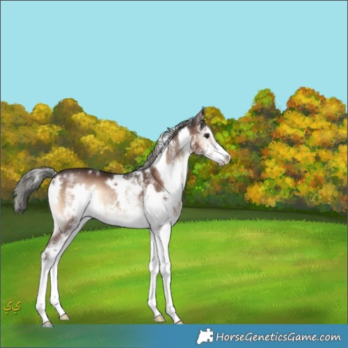 Horse Color:White Spotted Liver Red Onyx Mushroom 