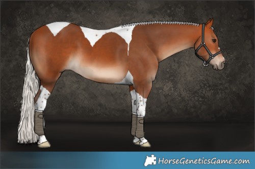 Horse Color:Silver Bay Tobiano 