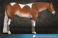 Horse Color:Silver Bay Tobiano 